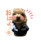 LEOSTAMPP（個別スタンプ：7）