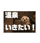 まくらちゃんねる 幼少期（個別スタンプ：2）