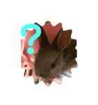 うさぎのごまちゃんの日常あいさつ（個別スタンプ：5）