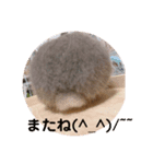 うさぎのごまちゃんの日常あいさつ（個別スタンプ：7）