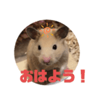 キンクマもなかの1日②（個別スタンプ：1）