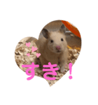キンクマもなかの1日②（個別スタンプ：2）