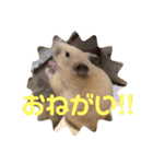 キンクマもなかの1日②（個別スタンプ：3）