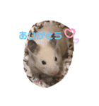 キンクマもなかの1日②（個別スタンプ：4）