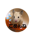 キンクマもなかの1日②（個別スタンプ：5）