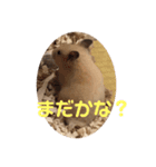 キンクマもなかの1日②（個別スタンプ：8）