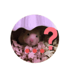 キンクマもなかの1日②（個別スタンプ：9）