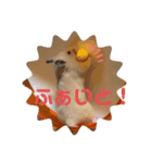 キンクマもなかの1日②（個別スタンプ：11）