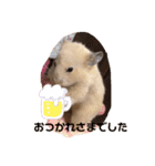 キンクマもなかの1日②（個別スタンプ：14）