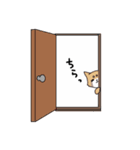 仲良しレッサーパンダとパンダ（個別スタンプ：13）