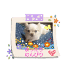 わんこ ちび＆チェリー7（個別スタンプ：6）