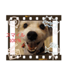 わんこ ちび＆チェリー7（個別スタンプ：7）