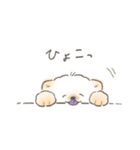 ふんわいぬ（個別スタンプ：16）