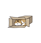 飼い猫ころちゃん（個別スタンプ：12）