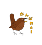 野鳥でおしゃべり（個別スタンプ：13）