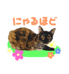 保護猫ルナの日常#2（個別スタンプ：7）