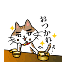 猫飼いさん（個別スタンプ：11）