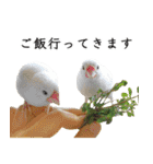 鳥＆猫スタンプ第3弾  お仕事＆敬語（個別スタンプ：24）