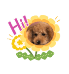 じじの日常（個別スタンプ：1）