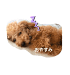 じじの日常（個別スタンプ：2）