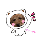 じじの日常（個別スタンプ：5）