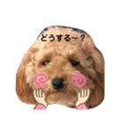 じじの日常（個別スタンプ：10）