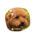 じじの日常（個別スタンプ：13）