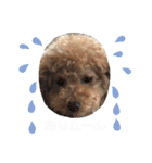 じじの日常（個別スタンプ：16）