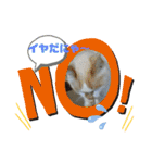 ミータ郎ファミリー2（個別スタンプ：18）