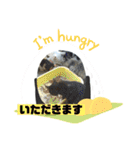 ミータ郎ファミリー2（個別スタンプ：20）