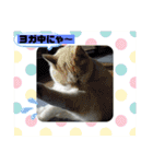 ミータ郎ファミリー2（個別スタンプ：27）