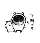 ミータ郎ファミリー2（個別スタンプ：31）
