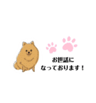 おいでわん（個別スタンプ：1）