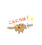おいでわん（個別スタンプ：3）
