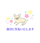 おいでわん（個別スタンプ：8）