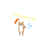 おいでわん（個別スタンプ：12）