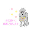 おいでわん（個別スタンプ：13）