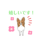 おいでわん（個別スタンプ：17）