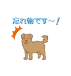 おいでわん（個別スタンプ：25）