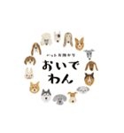 おいでわん（個別スタンプ：28）