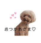 こっちゃんのかわいいスタンプ（個別スタンプ：3）