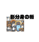 こっちゃんのかわいいスタンプ（個別スタンプ：22）