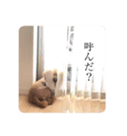 こっちゃんのかわいいスタンプ（個別スタンプ：23）