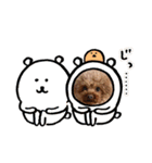 こっちゃんのかわいいスタンプ（個別スタンプ：24）