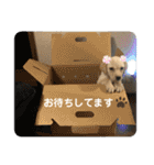 ラブラドール♡ララ♡（個別スタンプ：36）