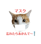 にゃんスタ2❗（個別スタンプ：9）