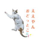 にゃんスタ2❗（個別スタンプ：14）