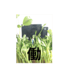 ジオラマの世界観（個別スタンプ：5）