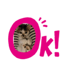 みんととよもぎ（個別スタンプ：2）