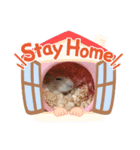 ハムスター【ブラン】（個別スタンプ：4）